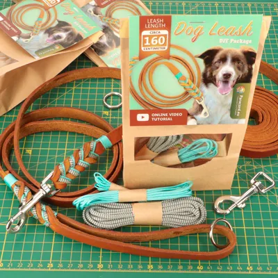 Kit et tout le matériel nécessaire à la fabrication d'une laisse de chien en cuir sur un tapis de coupe vert