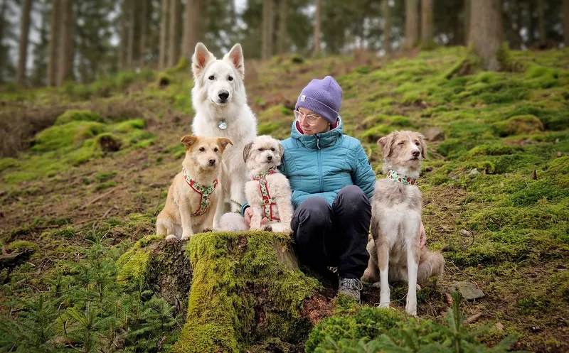 Louise de Bruyne et ses quatre chiens dans une forêt