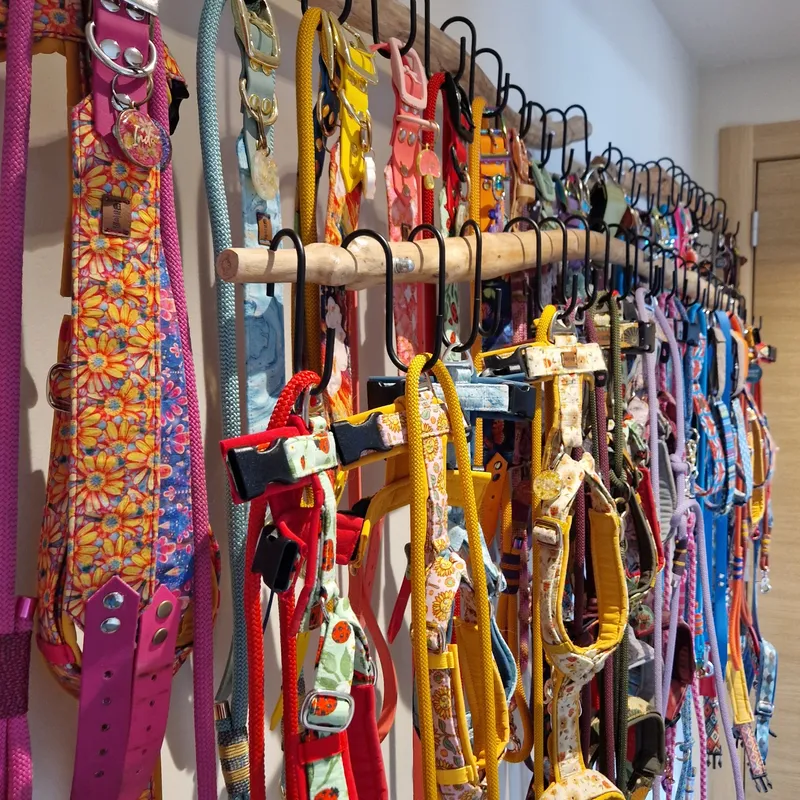 Collection de harnais, colliers et laisses faits maison pour les chiens de Louise.