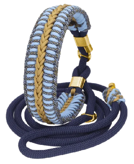 Laisse lasso semi-étrangleur en corde dans bleu et or