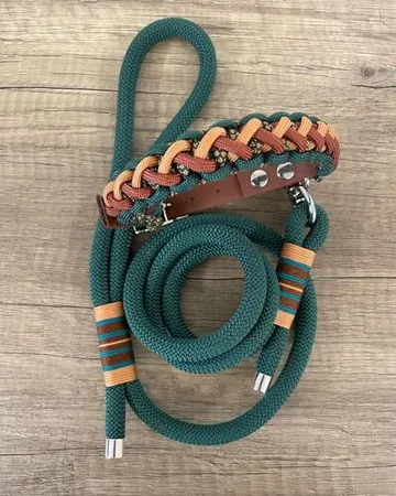 Ensemble pour chien vert et marron où la corde laisse de chien a été utilisée pour la laisse